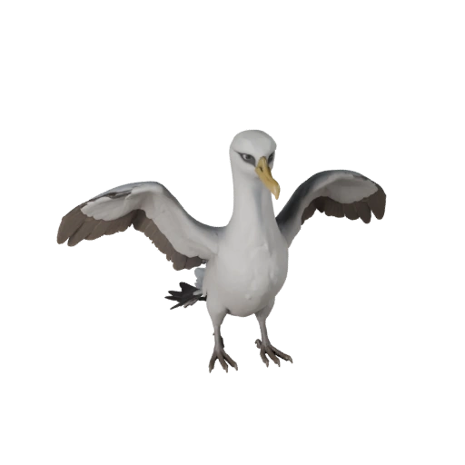 Realistischer Albatros 3D-Modell - Rigged PBR Asset für Spiele | PBR