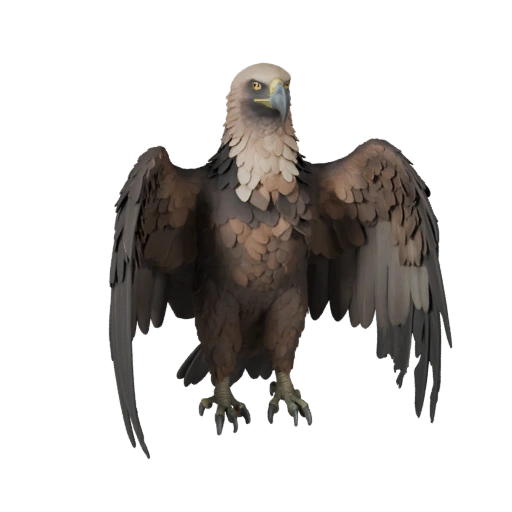 Modèle 3D réaliste de vautour - Actif PBR riggé pour jeux | PBR