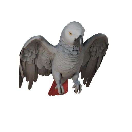 Modelo 3D Realista de Loro Gris Africano - Activo PBR Rigged para Juegos