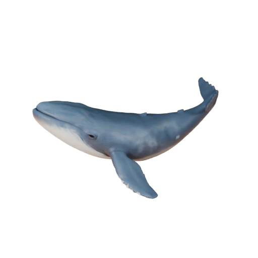 Modelo 3D de Baleia Beluga para Blender - Asset PBR com Texturas
