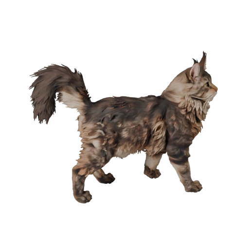 Modello 3D Maine Coon per Blender - Asset PBR con Texture | PBR