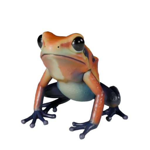 Realistischer Pfeilgiftfrosch 3D-Modell - Rigged PBR Asset für Spiele