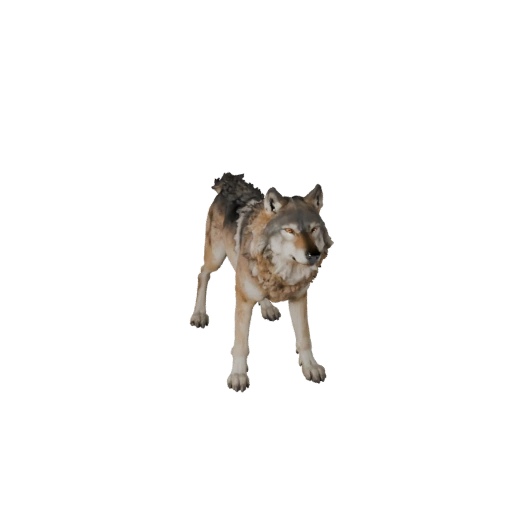 Wolf 3D Modell für Unity - Spielfertiges Asset, FBX | Lizenzfrei