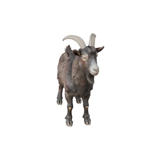 Ziege 3D-Modell für Unity - Spielfertiges Asset, FBX | Lizenzfrei
