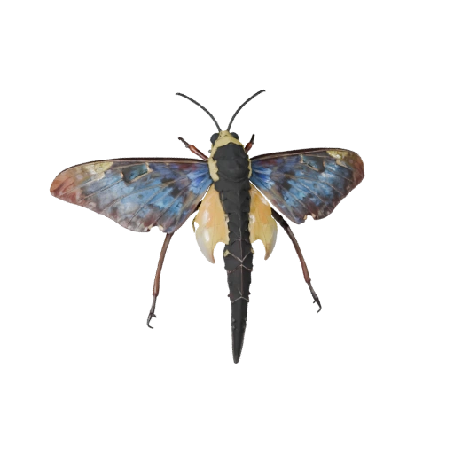 نموذج ثلاثي الأبعاد لفراشة Luna Moth لـ Unity - أصل جاهز للألعاب، FBX | مجاني للاستخدام