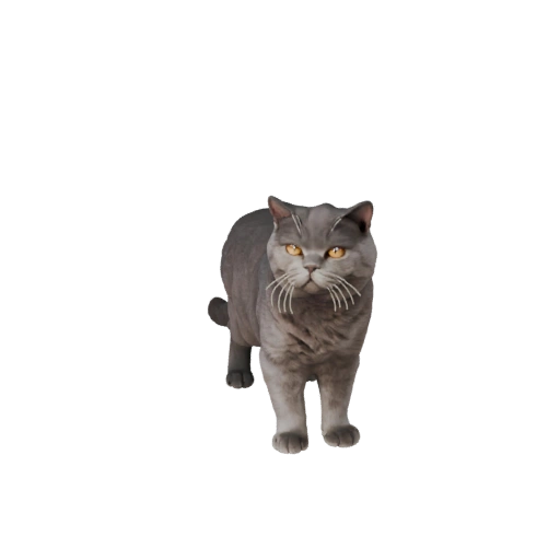 Modelo 3D Realista de Británico de Pelo Corto - Recurso PBR Rigged para Juegos