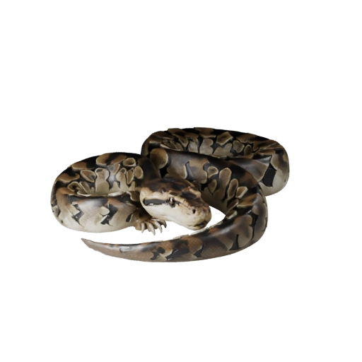 Realistic Reticulated Python 3D Model - Rigged PBR Asset for Games