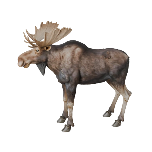 Modelo 3D de Alce Realista - Activo PBR Riggeado para Juegos | Libre de Regalías