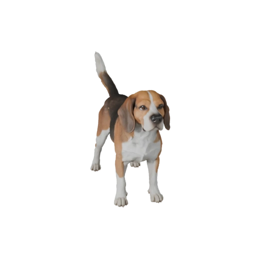 Realistischer Beagle Hund 3D-Modell - Rigged PBR Asset für Spiele