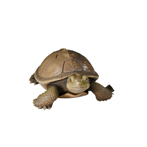 Tortuga Mordedora de Alto Poligonaje 3D - Detallado STL para Impresión