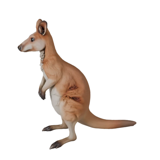 Modelo 3D de Wallaby para Blender - Recurso PBR con Texturas | PBR