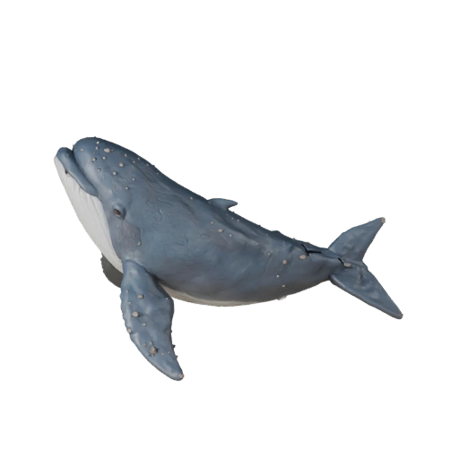 Modelo 3D de Baleia Beluga Desenho Animado - Asset Estilizado para Animação