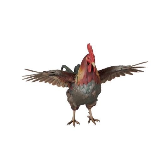 Coq réaliste Modèle 3D - Asset PBR riggé pour jeux | PBR