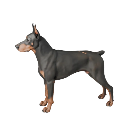 Perro Doberman Modelo 3D para Unity - Asset Listo para Juego, FBX
