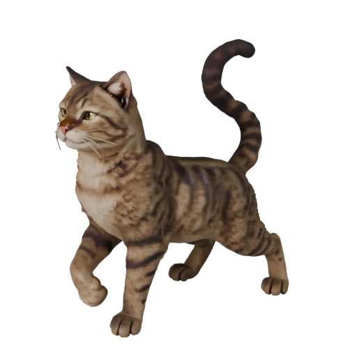 Realistische Katze 3D-Modell - Rigged PBR-Asset für Spiele | Lizenzfrei