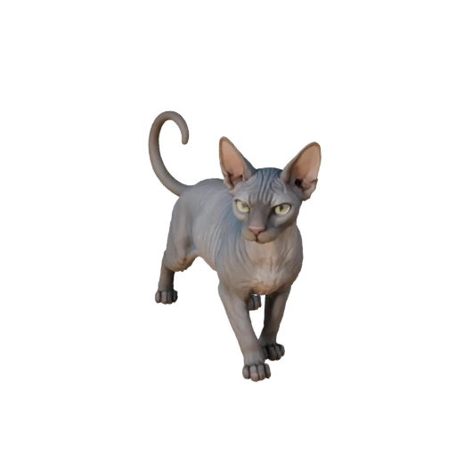 Sphynx Katze 3D Modell für Unity - Spielfertiges Asset, FBX | Lizenzfrei