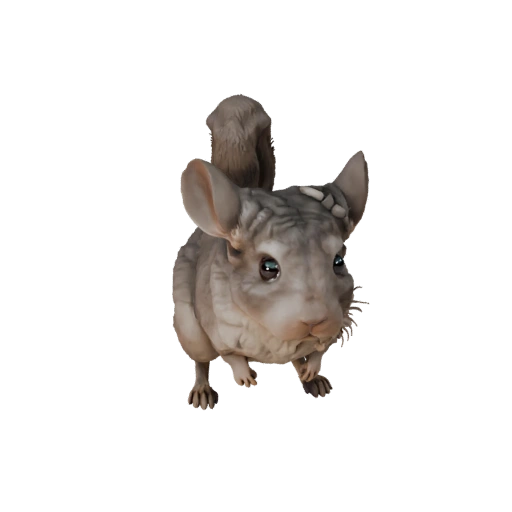 Chinchilla réaliste 3D - Asset PBR Riggué pour Jeux