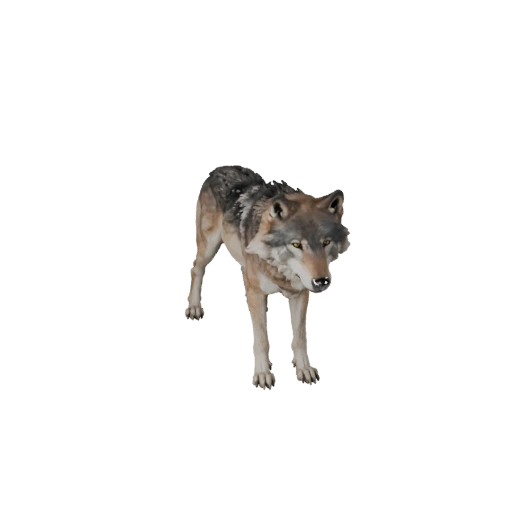 Lupo Grigio Realistico Modello 3D - Asset PBR Rigged per Giochi | PBR
