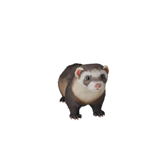 Modello 3D Furetto High Poly - Asset STL Dettagliato per la Stampa