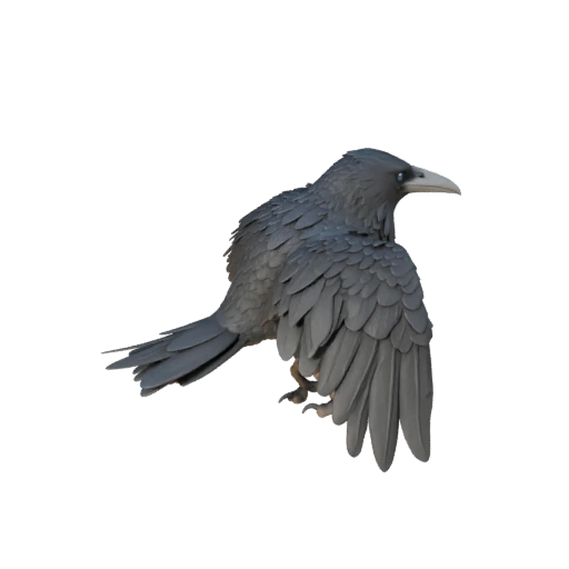 Modelo 3D de Cuervo para Unidad - Asset Listo para Juego, FBX | Libre de Regalías