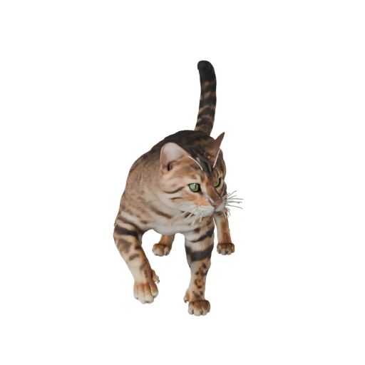 Gatto Bengala High Poly 3D Model - Asset STL Dettagliato per la Stampa