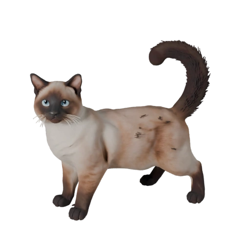 Modelo 3D Realista de Gato Birmanês - Asset PBR Rigged para Jogos