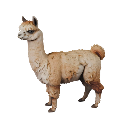 Modello 3D Alpaca per Unity - Asset Pronto per il Gioco, FBX | Royalty-Free