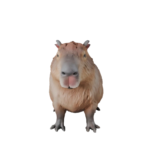 Capibara Realistico 3D Model - Asset Rigged PBR per Giochi | PBR
