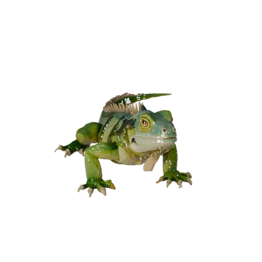 Modello 3D Iguana Low Poly - Asset Unity con FBX | Royalty-Free