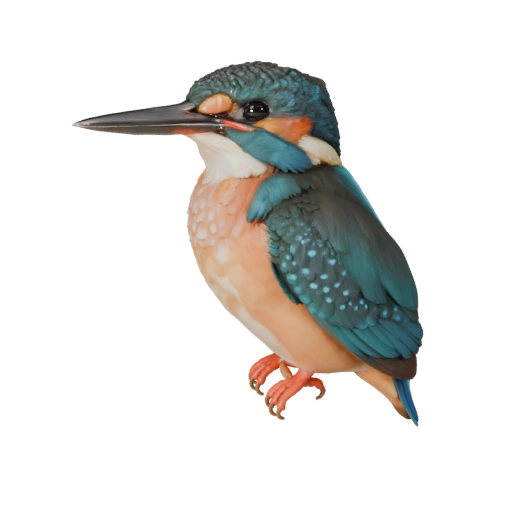 Modelo 3D Realista de Martim-Pescador - Asset PBR Rigged para Jogos