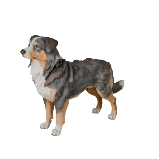 Modello 3D Pastore Australiano per Blender - Asset PBR | PBR