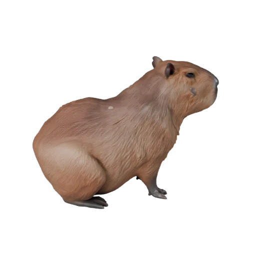 Modello 3D Capibara per Unity - Asset Pronto per il Gioco, FBX | Royalty-Free