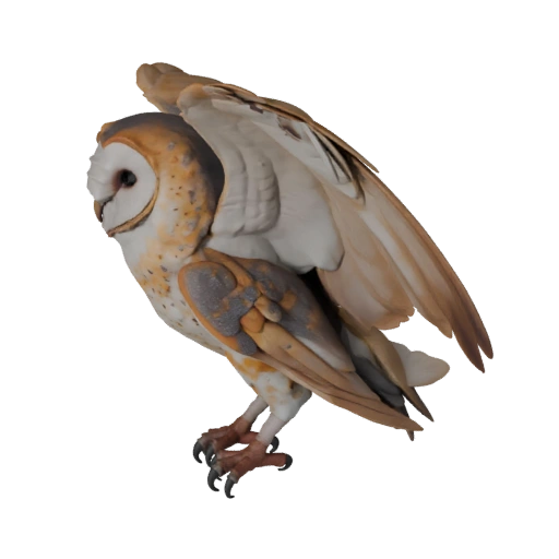 Schleiereule 3D-Modell für Unity - Spielfertiges Asset, FBX | Lizenzfrei