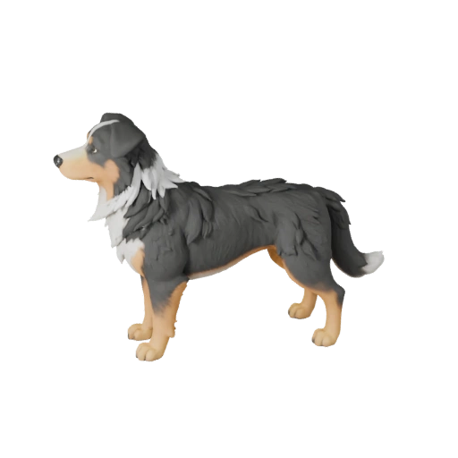 Modello 3D Pastore Australiano High Poly - Asset STL per la Stampa