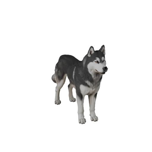 Modello 3D Cane Siberiano Husky per Blender - Asset PBR con Texture