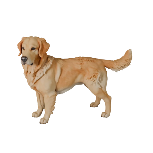 Modello 3D Cane Golden Retriever per Blender - Asset PBR con Texture