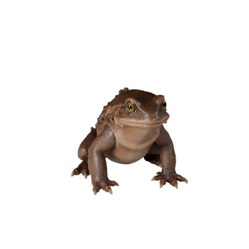 Realistischer Salamander 3D-Modell - Rigged PBR Asset für Spiele