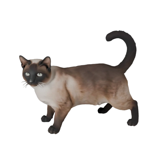 Gatto Siamese 3D Model per Unity - Asset Pronto per il Gioco, FBX | PBR