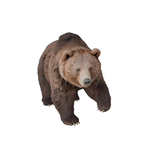 Modèle 3D d'ours brun pour Blender - Asset PBR avec Textures | PBR