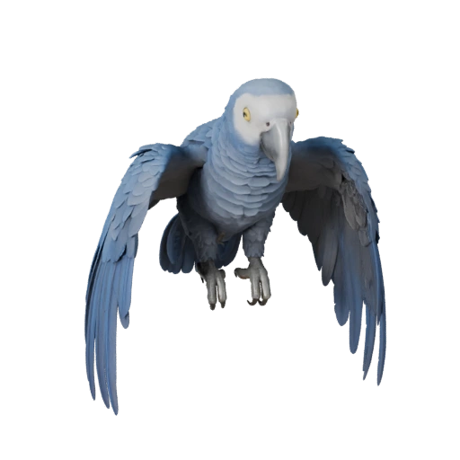 loro gris africano Modelo 3D para Unity - Activo Listo para Juego, FBX