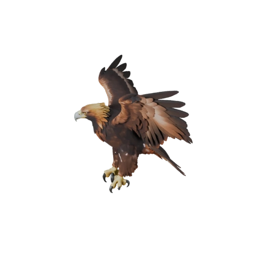 Realistic Golden Eagle 3D Model - Rigged PBR Asset for Games