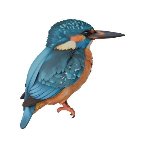 Martim-Pescador 3D Model para Unity - Asset Pronto para Jogo, FBX | Livre de Royalties
