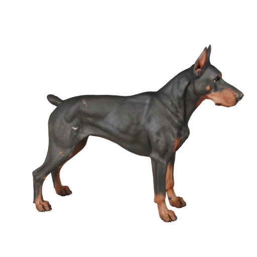 Perro Doberman Realista 3D Model - PBR Asset para | PBR