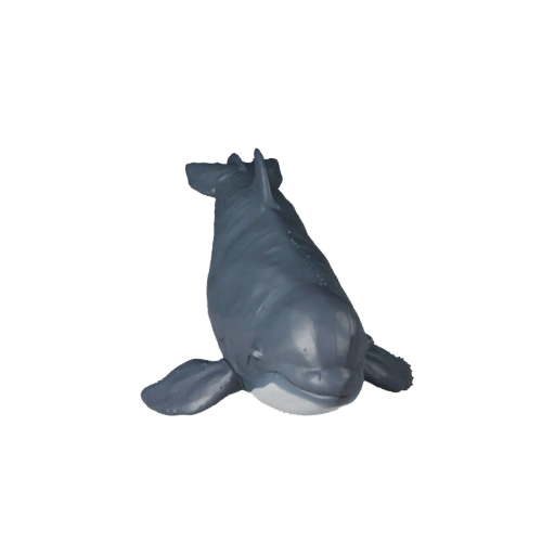 Modelo 3D Realista de Baleia Beluga - Asset PBR Rigged para Jogos