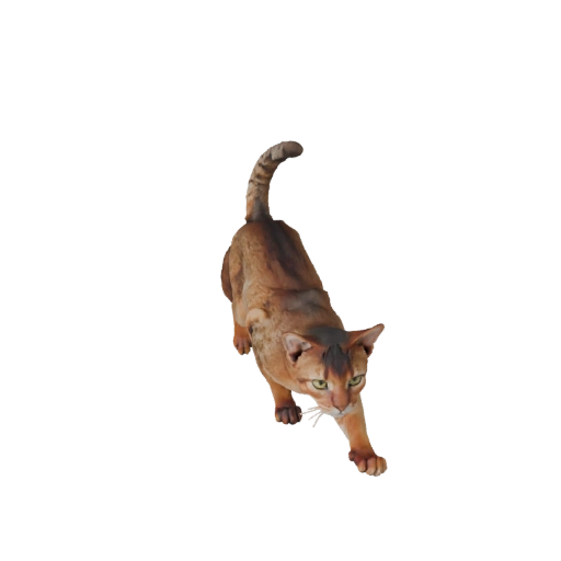 Abessinier Katze 3D Modell für Unity - Spielfertiges Asset, FBX | PBR