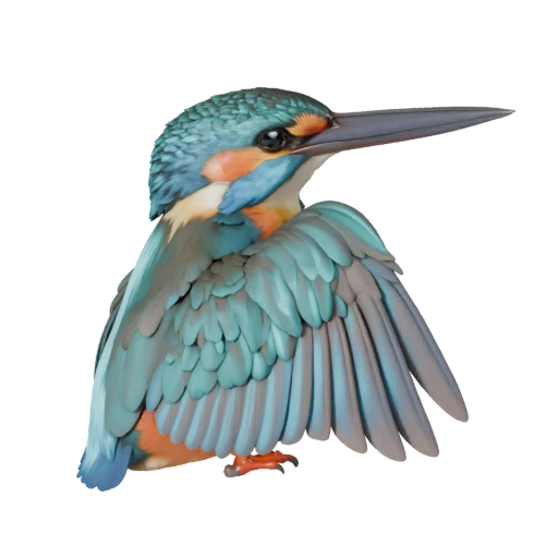 Martim-Pescador 3D Model para Blender - Asset PBR com Texturas | PBR