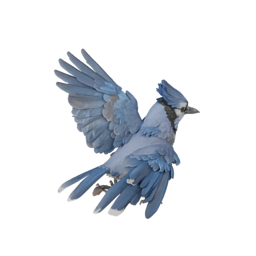 Modello 3D di Ghiandaia per Unity - Asset Pronto per il Gioco, FBX | Royalty-Free