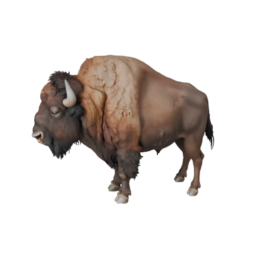 Modelo 3D de Bisão Realista - Asset PBR Rigged para Jogos | Livre de Royalties