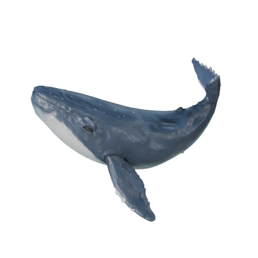 Killer Whale 3D Model for Blender - PBR Asset with Textures