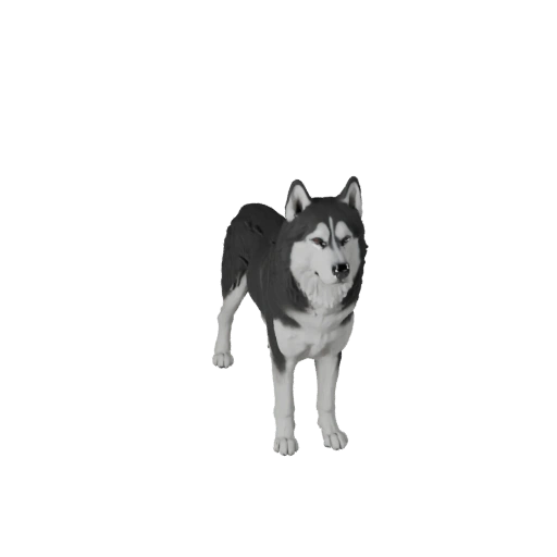 Modello 3D realistico di cane siberiano husky - Asset PBR Rigged per Giochi
